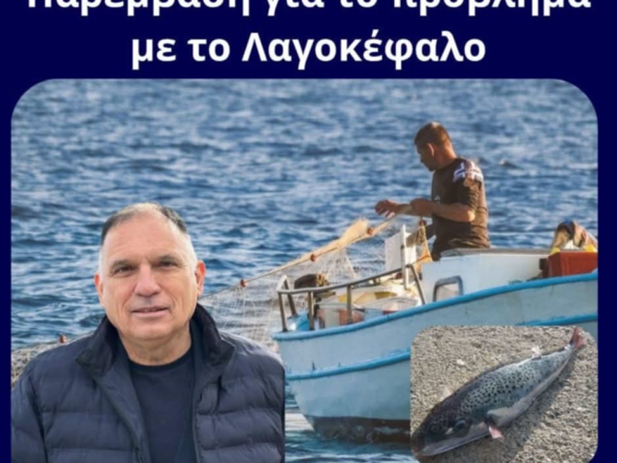 Κρητικός: Ανάγκη εθνικού, ολιστικού σχεδίου για την αντιμετώπιση του τοξικού λαγοκέφαλου