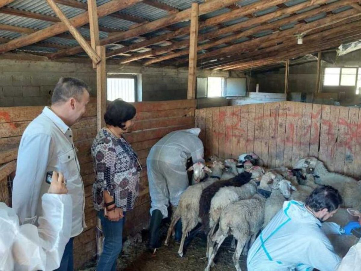 Κρούσμα ευλογιάς στο Μαντούδι