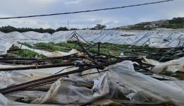 lasithi-Αnemostrovilos-chtipise-thermokipia-stin
