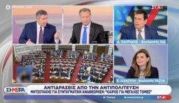 liakouli-sto-sk&Alpha;i-ochi-lefki-epitagi-sti-sintagmatiki