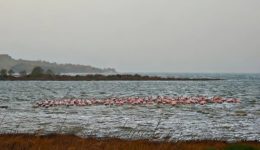 limnos-thiellodis-notiades-ston-Άgio-&Alpha;ndrea