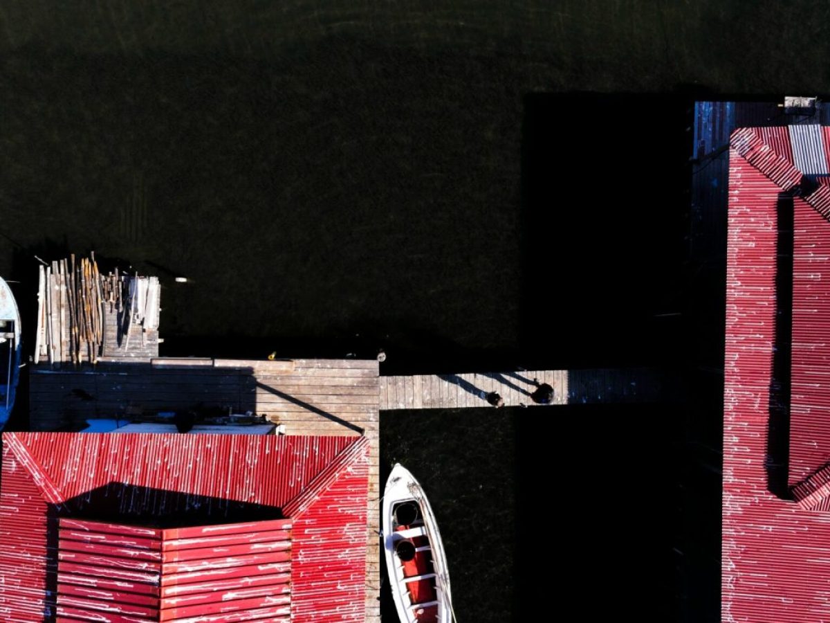 Λιμνοθάλασσα Μεσολογγίου: Ταξίδι στον κόσμο των πελάδων