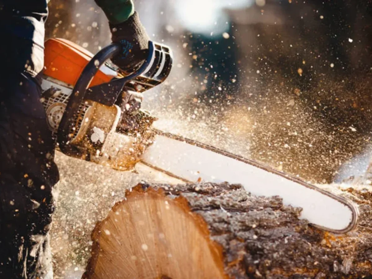 Ληστής δεν άφησε τίποτα όρθιο, βούτηξε μέχρι και αλυσοπρίονο! Κλοπές σε 5 σπίτια με λεία 5.000 ευρώ, τάμπλετ, ηχοσύστημα