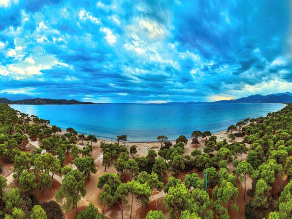 Μαραθώνας:  Σχινιάς- Προστασία χωρίς πρόληψη!