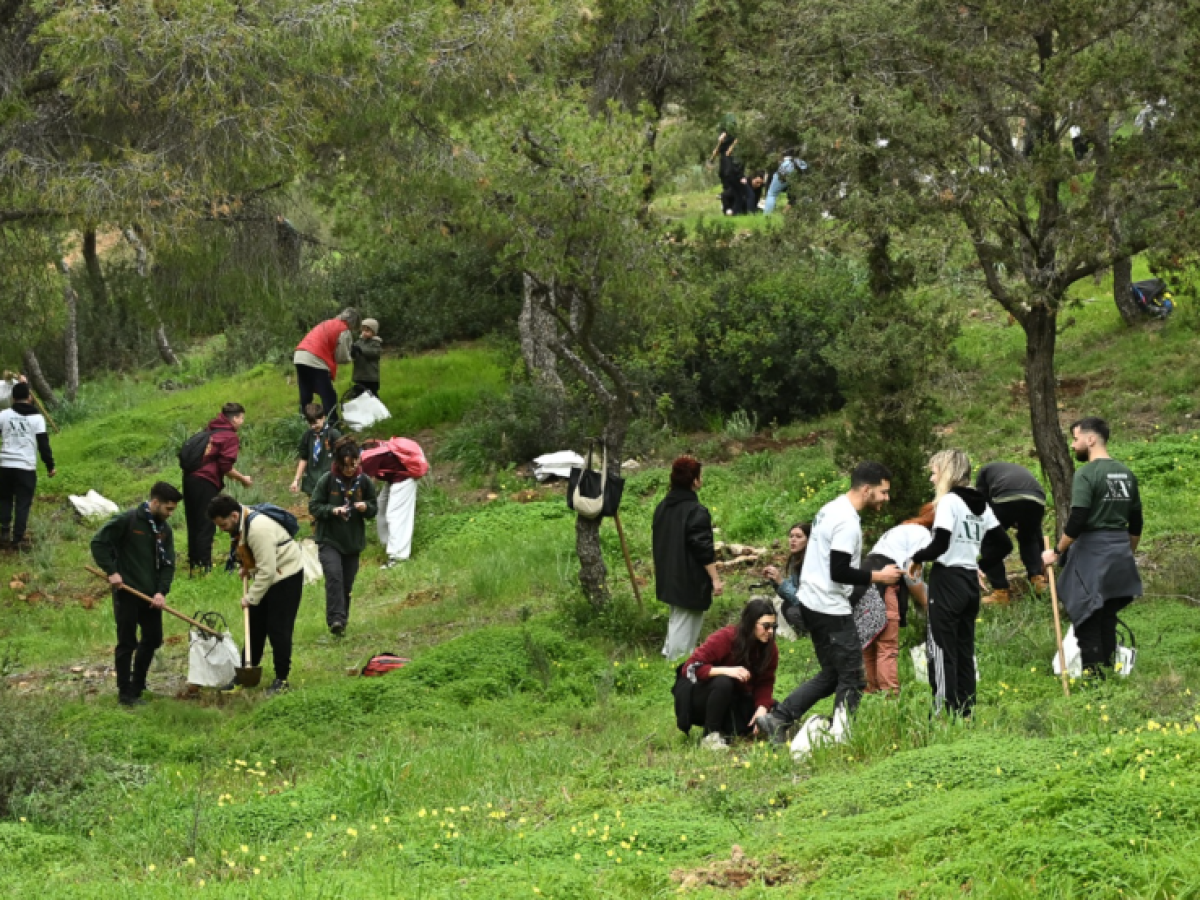 Μαζική συμμετοχή στην διπλή αναδάσωση σε Καβούρι και Βάρκιζα