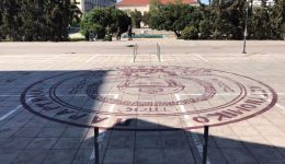 me-kerasies-koutsoupies-ke-platanomouries