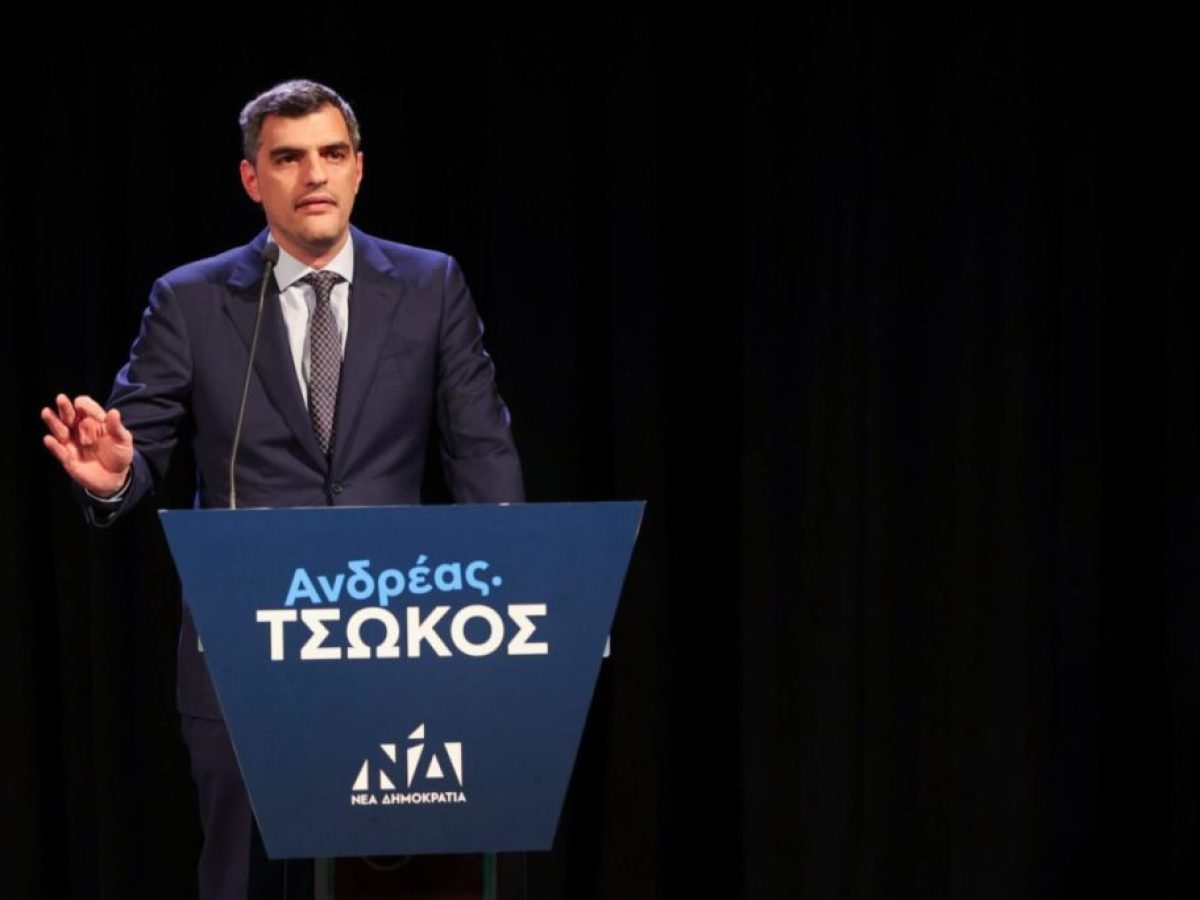 Μεγάλη προσέλευση στην κοπή πίτας του Ανδρέα Τσώκου