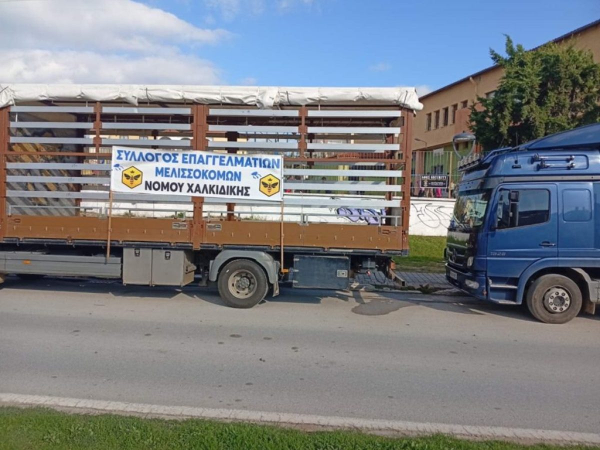 Μελισσοκόμοι Νομού Χαλκιδικής: Κάλεσμα ευθύνης και αγώνα για το δικαίωμα στην εργασία και τη φύση