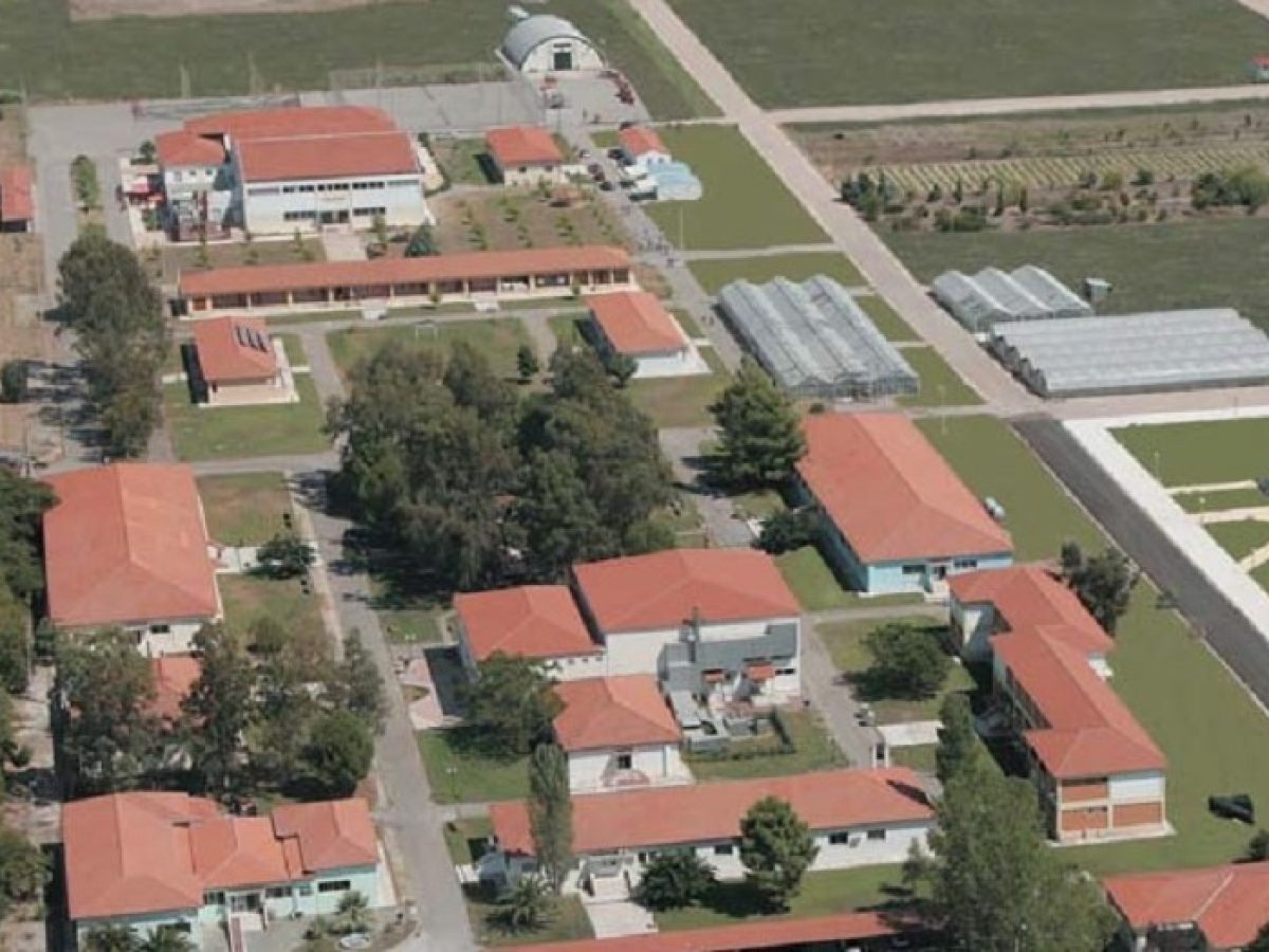 Μεσολόγγι: Το Πανεπιστήμιο Πατρών υποδέχεται μαθητές στο Τμήμα Αλιείας και Υδατοκαλλιεργειών