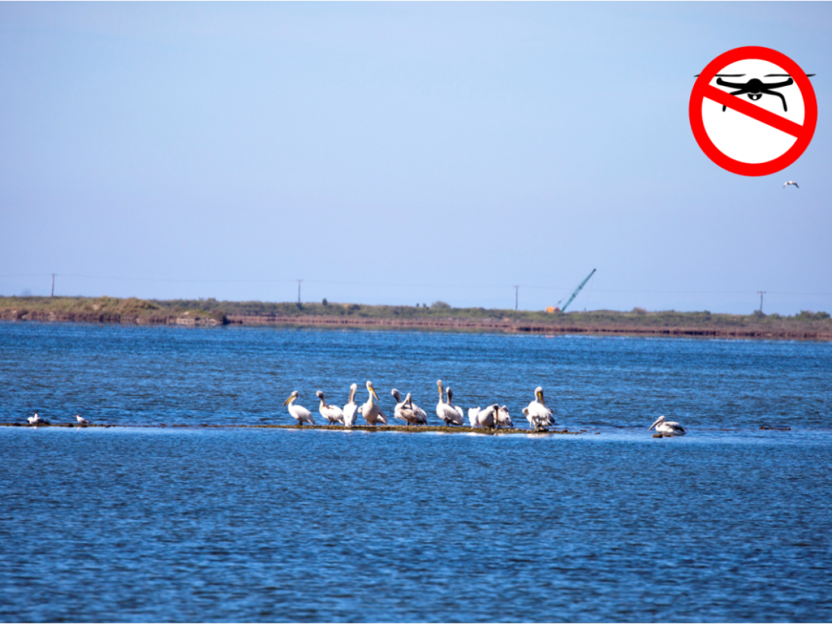 Μεσολόγγι:Η πτήση drone σε προστατευόμενες περιοχές απαιτεί ειδική άδεια