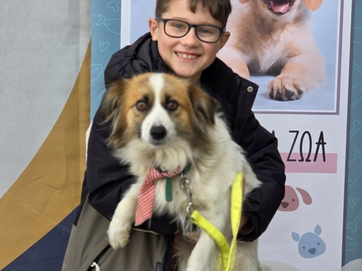 Μια νέα οικογένεια για τη μικρή σκυλίτσα Billie στον Δήμο Αρχαίας Ολυμπίας