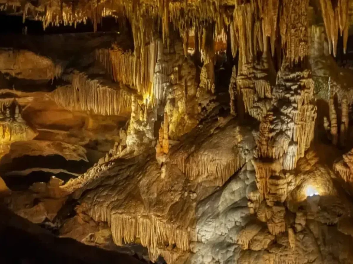 Μικρόβια που ζουν ανέγγιχτα για 49 εκατ. χρόνια σε σπήλαιο του Νέου Μεξικού ανοίγουν νέα σενάρια για εξωγήινη ζωή