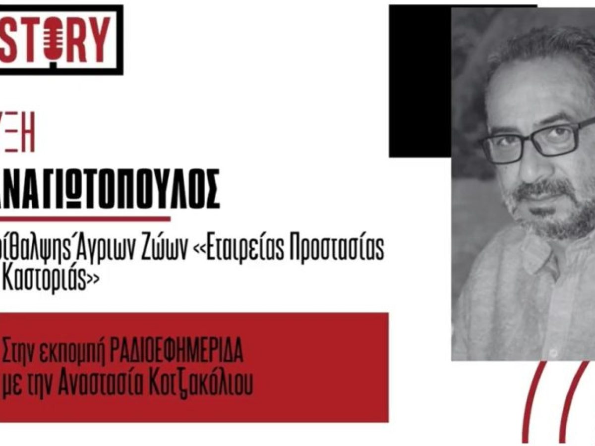 Ν. Παναγιωτόπουλος: Τι πρέπει να κάνουμε αν συναντήσουμε λύκο