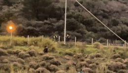 nafpaktos-sinagermos-stin-aerogefira-sti