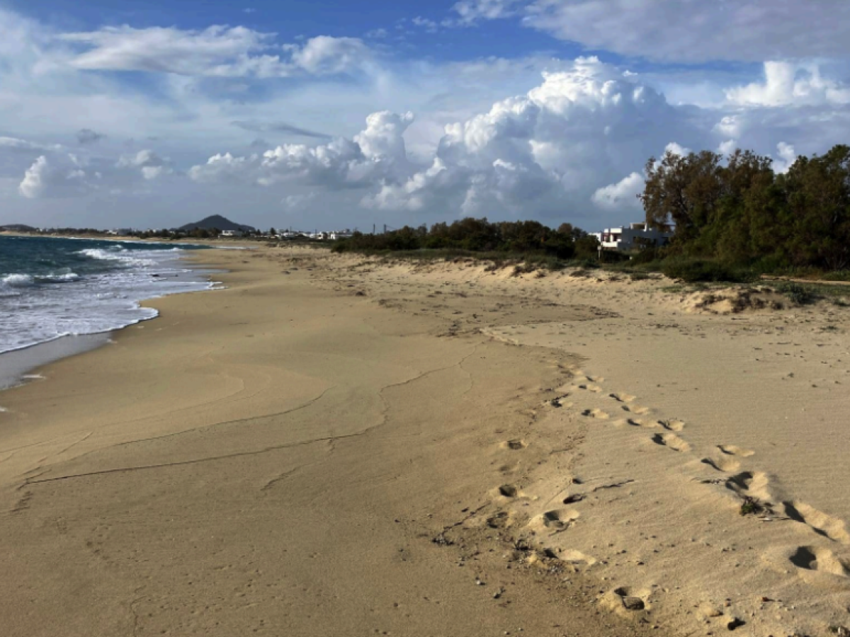 Νάξος: Παράνομος ο παραλιακός δρόμος στην Πλάκα για τουλάχιστον 26 χρόνια – Πόρισμα και νέα ερωτήματα