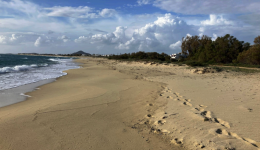 naxos-paranomos-o-paraliakos-dromos