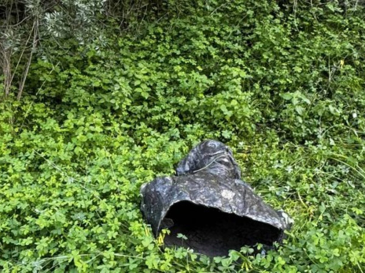 Νέα Επίδαυρος: Η προτομή του Αλέξανδρου Μαυροκορδάτου βρέθηκε πεταμένη σε φαράγγι