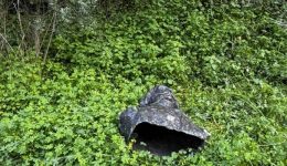 nea-epidavros-i-protomi-tou
