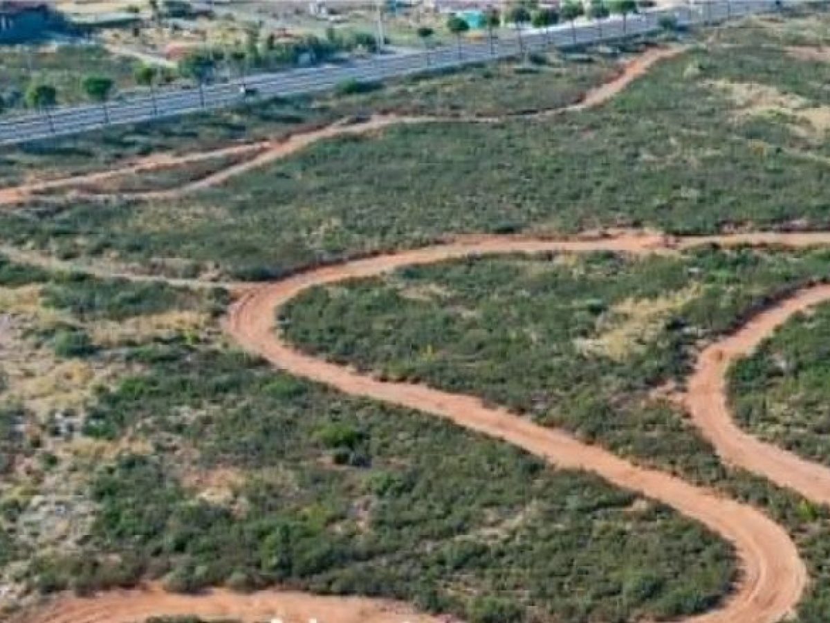 Νέα Μάκρη: Ερώτηση στη Βουλή για παράνομη λειτουργία πίστας μοτοκρός σε δασική αναδασωτέα περιοχή