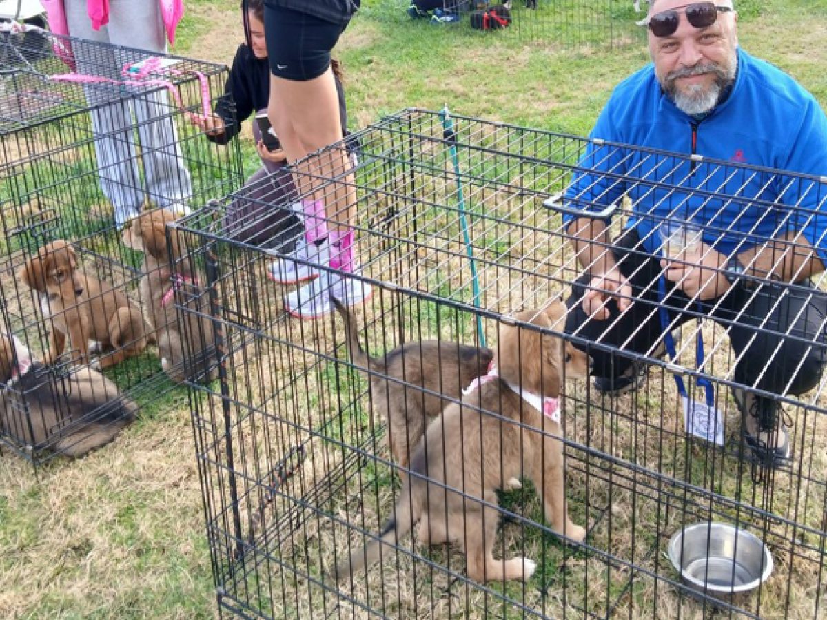 Νέα Μάκρη: Ραντεβού αγάπης στη «Γιορτή Υιοθεσίας» του Συλλόγου «Ελπίδα» την Κυριακή (8/2)