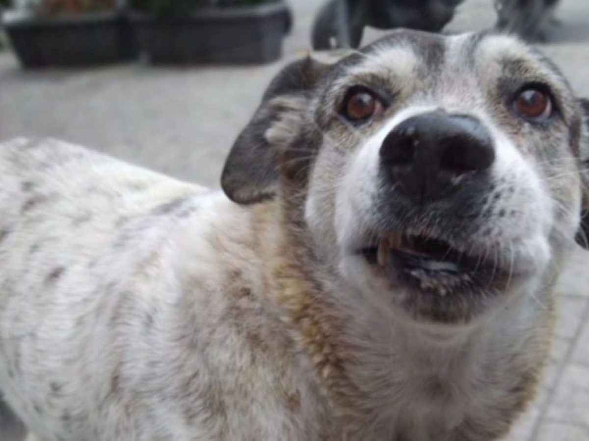 Νέα συγκινητική φωτογραφία του Τάσου από την παραλία της Χαλκίδας πριν πετάξει στους ουρανούς