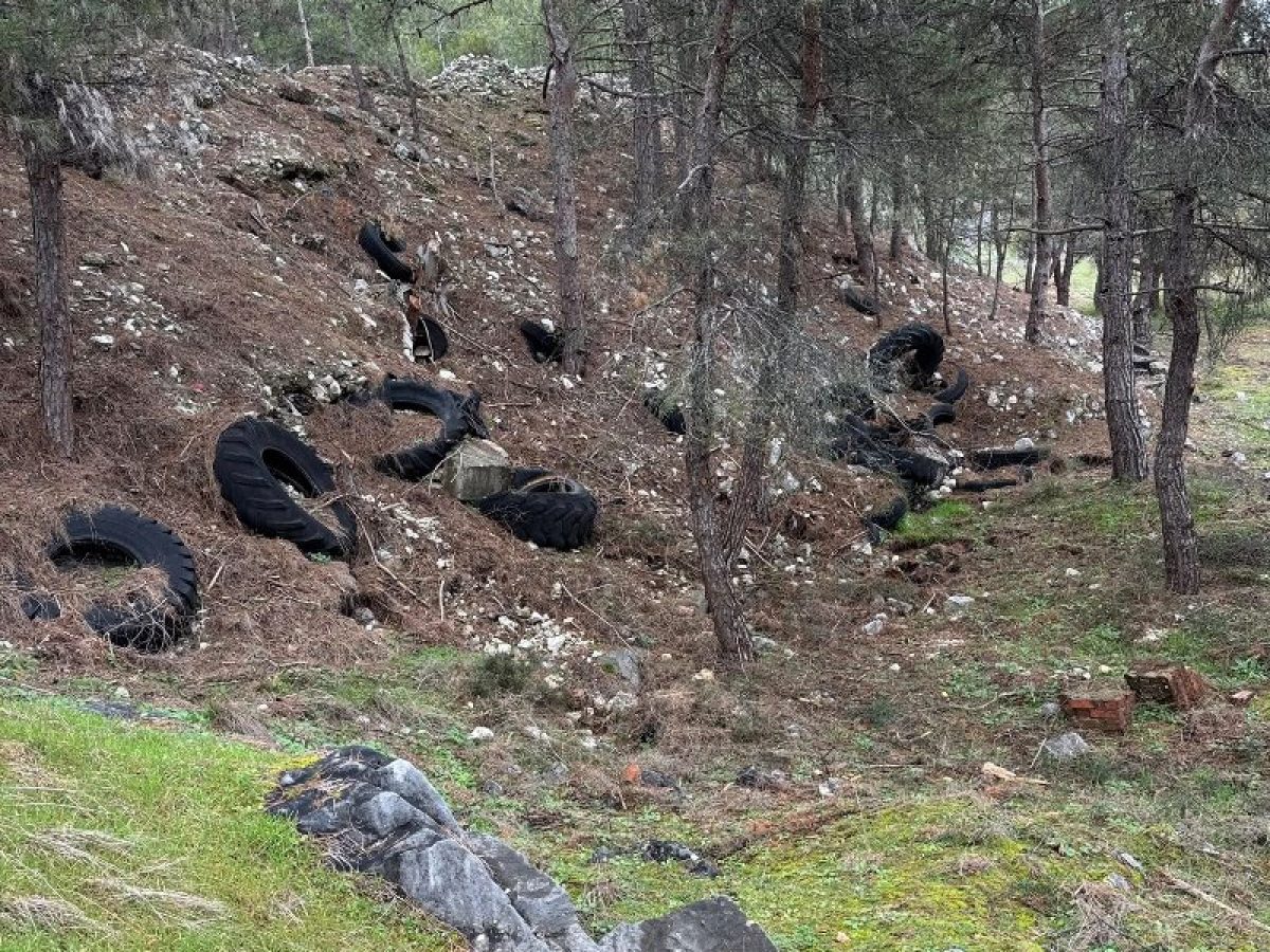 «Νεκροταφείο» ελαστικών μέσα στο άλσος Κορυλόβου!