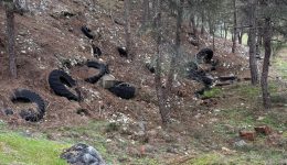 nekrotafio-elastikon-mesa-sto-alsos