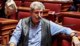 niki-tis-topikis-kinonias-vlepi