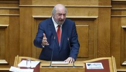 nikitiadis-sti-vouli-Άmesi-stirixi