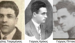 o-dimarchos-ikarias-gia-ta