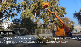 o-dimos-rodou-ilopii-se