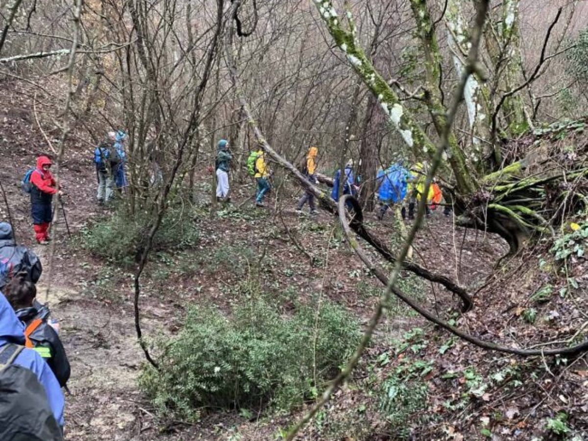 Ο ΕΟΣ Κομοτηνής σε ορειβατική εξόρμηση στην κορυφή Σέλωμα της Ροδόπης (φωτος)