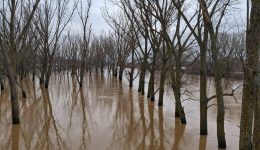 o-evros-se-Red-Code-1