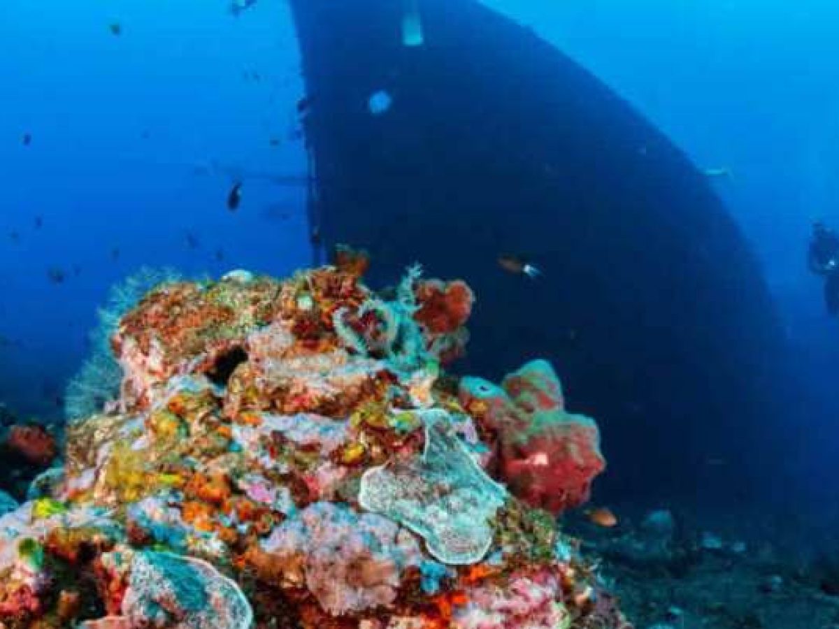 Ο καταδυτικός τουρισμός στο προσκήνιο σε Λευκάδα και Σιθωνία με τεχνητούς υφάλους και πόντιση πλοίων