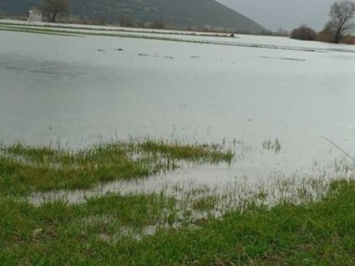 Ο πλημμυρισμένος κάμπος στη Λίμνη Αρκαδίας (εικόνες)