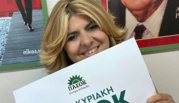 p&Alpha;sok-&Alpha;nastellete-i-kommatiki-idiotita