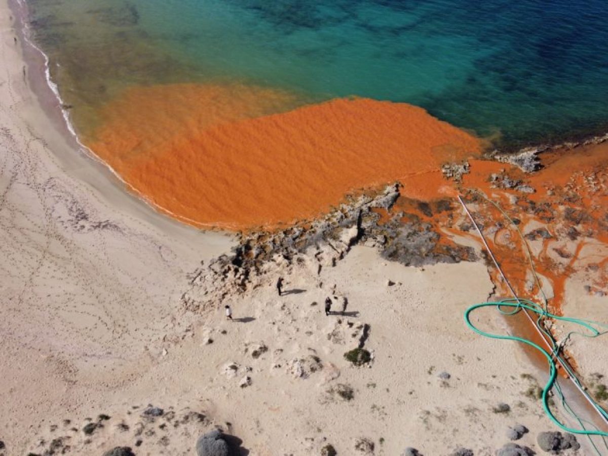 Παχιά Άμμος: Στο «πορτοκαλί» η θάλασσα στον Σταύρο – Σφοδρή αντιπαράθεση για το αντλιοστάσιο της ΔΕΥΑΧ
