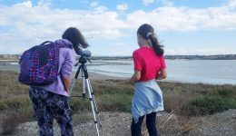 pagkosmia-imera-igrotopon-ethelontiki-katharismi