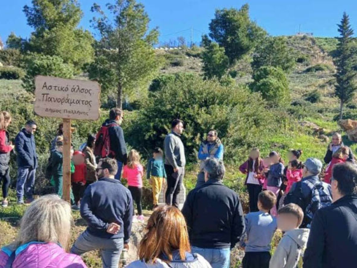 Παλλήνη: Πάνω από 1.000 δέντρα φυτεύτηκαν στο Πανόραμα