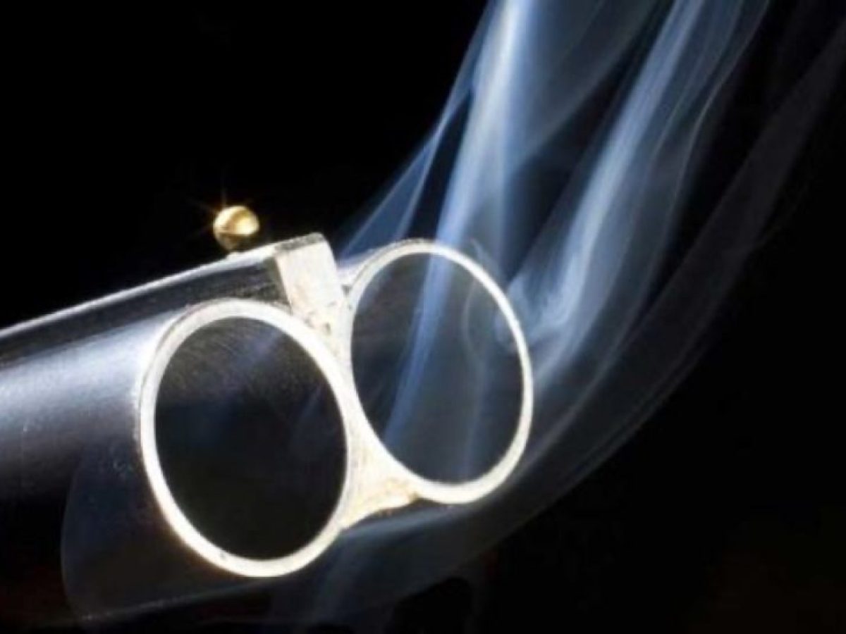 &Pi;&alpha;&rho;&alpha;&lambda;ί&gamma;&omicron; &phi;&omicron;&nu;&iota;&kappa;ό &sigma;&tau;&omicron; &kappa;&upsilon;&nu;ή&gamma;&iota; &ndash; &Sigma;&phi;&alpha;ί&rho;&alpha; έ&sigma;&tau;&epsilon;&iota;&lambda;&epsilon; 60&chi;&rho;&omicron;&nu;&omicron; &sigma;&tau;&omicron; &Nu;&omicron;&sigma;&omicron;&kappa;&omicron;&mu;&epsilon;ί&omicron;