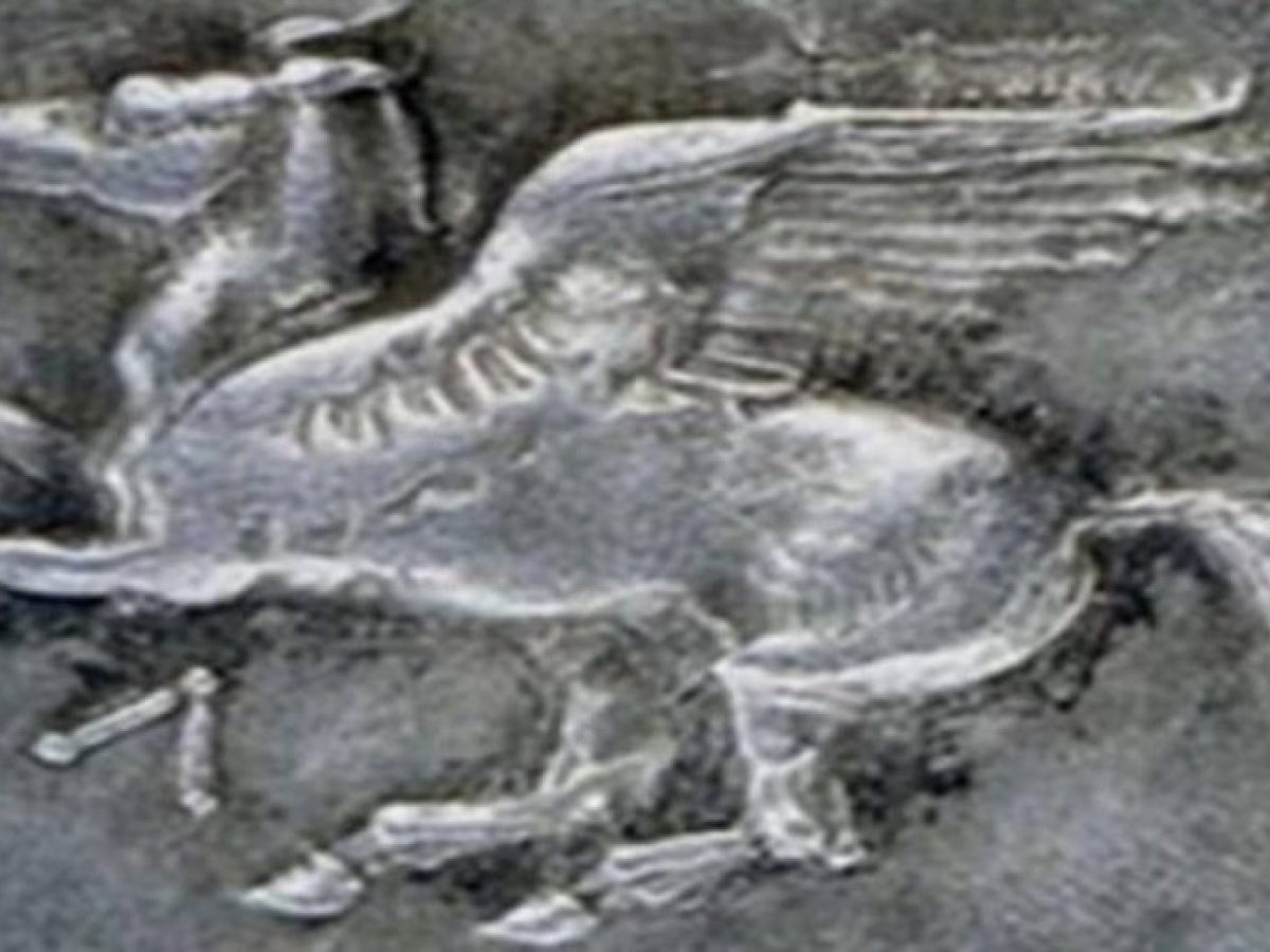 Παράταση λειτουργίας σε τρεις   Δομές του Δήμου