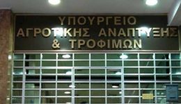 paratasi-mechri-tis-31-dekemvriou-1