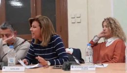 paremvasi-tis-Άnna-pappa-gia