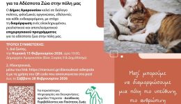 parousiasi-ke-dimosia-diavoulefsi-gia