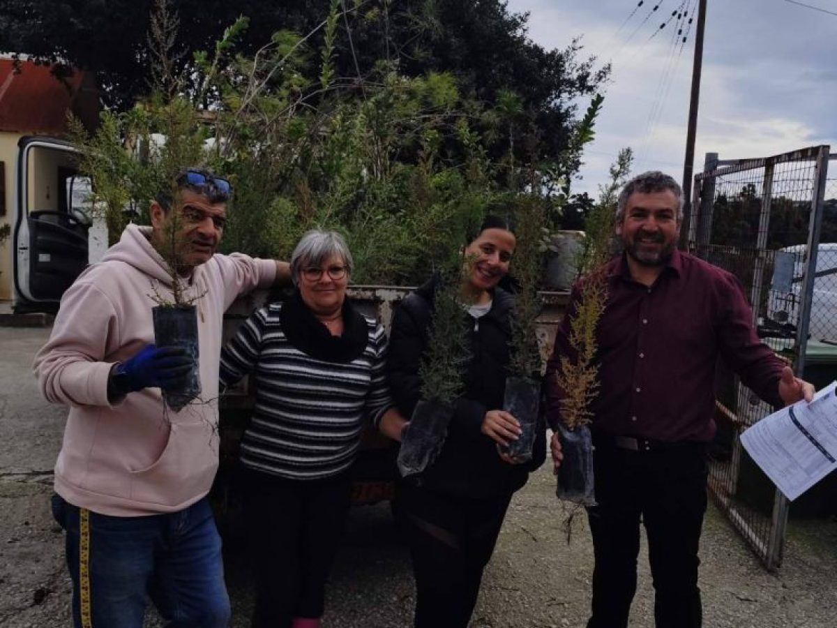 Πάτμος: 645 νέα φυτά για την ενίσχυση του πρασίνου στο νησί