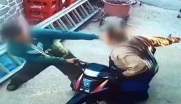 patroktonia-sti-lero-vinteo-–