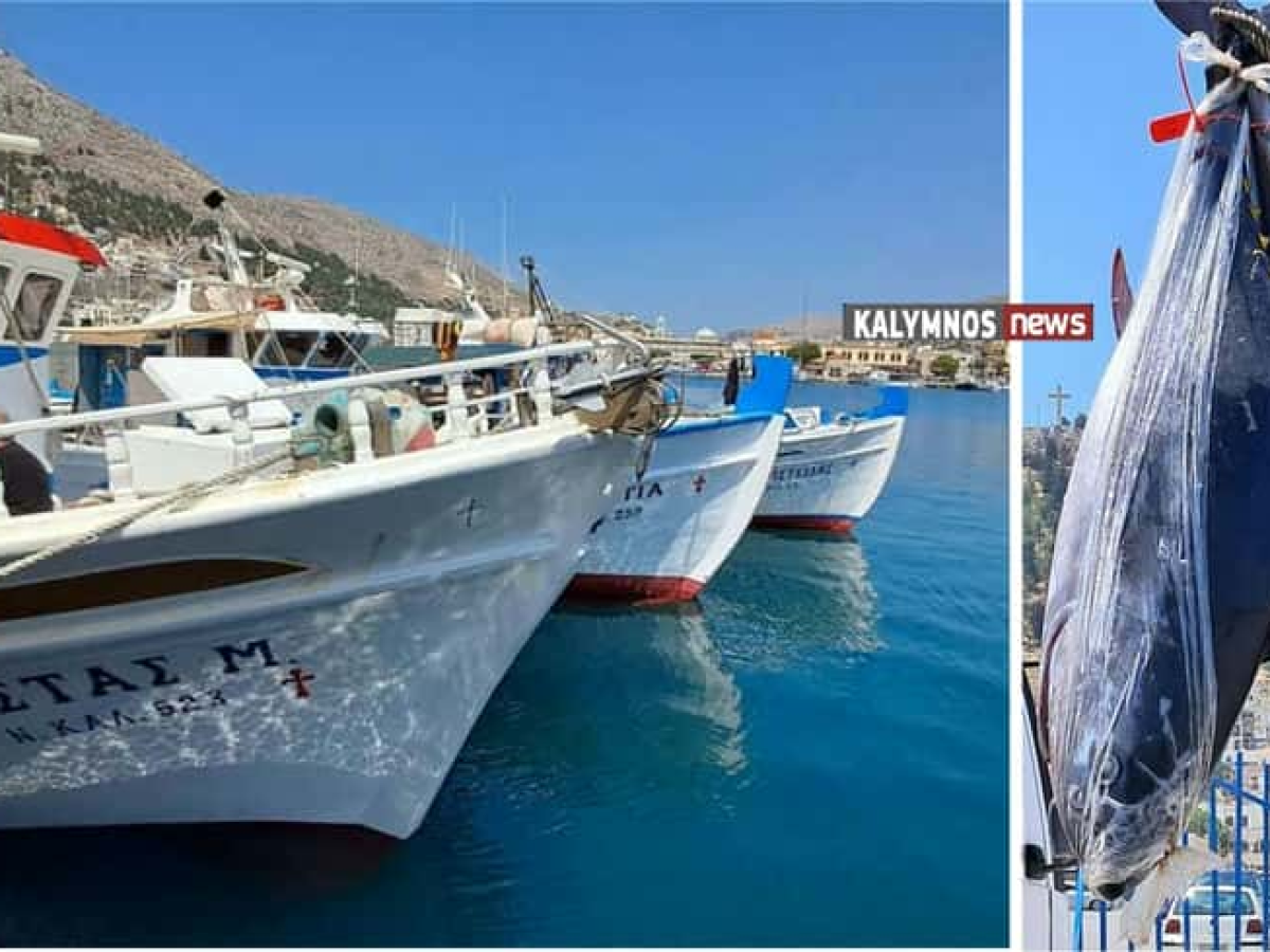 Πέντε λιμάνια της Π.Ε. Καλύμνου στους καθορισμένους λιμένες εκφόρτωσης/μεταφόρτωσης ξιφία και τόνου.