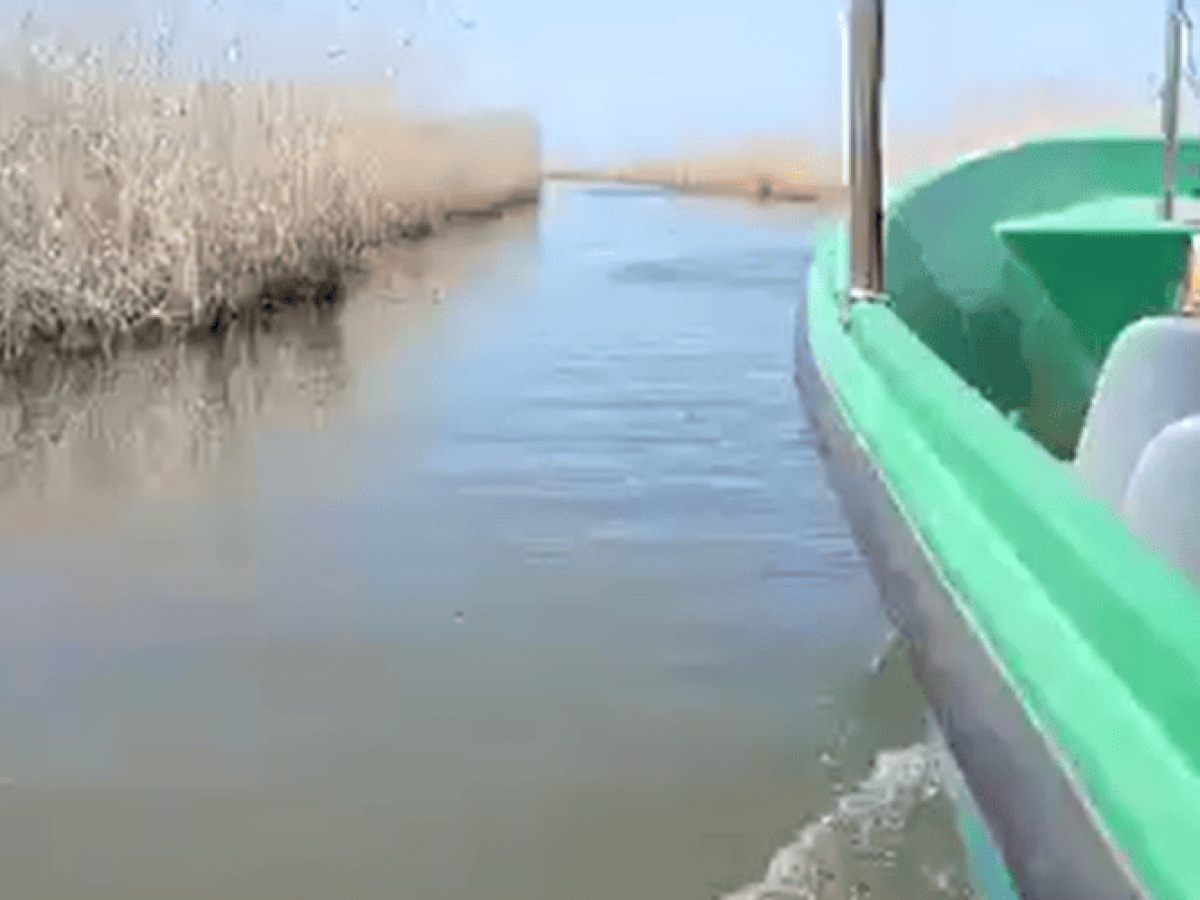 Περιπέτεια για 76χρονο ψαρά στο Δέλτα του Έβρου – Τον έσωσε το Λιμνενικό