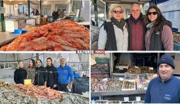 pikilia-ke-afthonia-thalassinon-sta