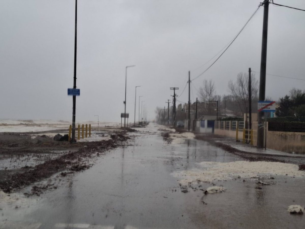 Πλημμύρισαν σπίτια από την κακοκαιρία στον Αγιόκαμπο Λάρισας -«Έριξε περισσότερο νερό απ- ό,τι στον Ντάνιελ» (φώτο)